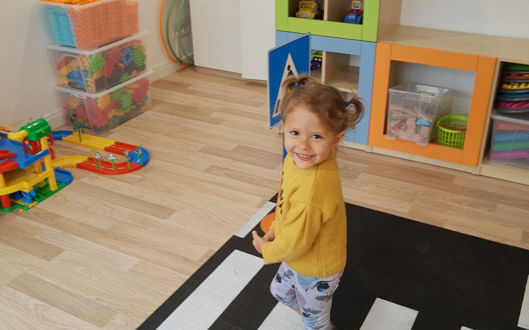 Hipcie utrwalają zasady ruchu drogowego