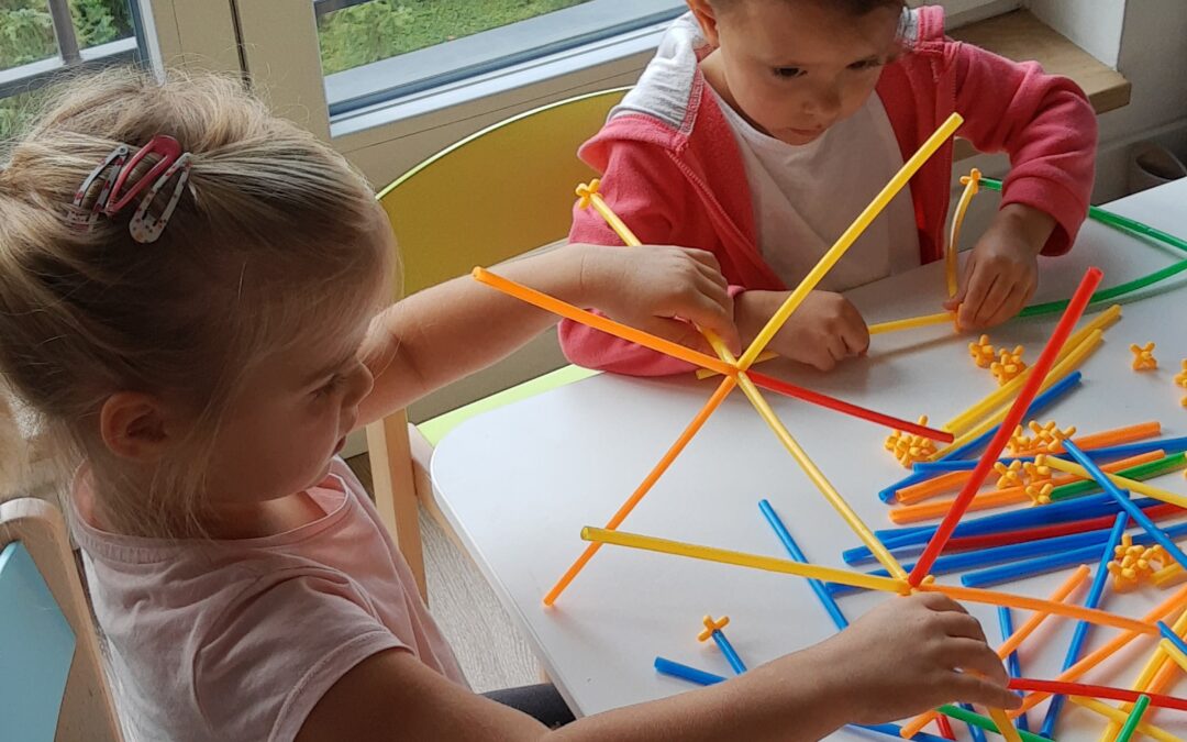 Zajęcia konstrukcyjne Hipciów