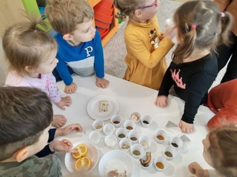 Hipcie poznają zmysły – zapach