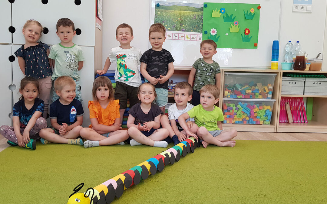 Zwierzęta mieszkające na&nbsp;łące (Lemurki)