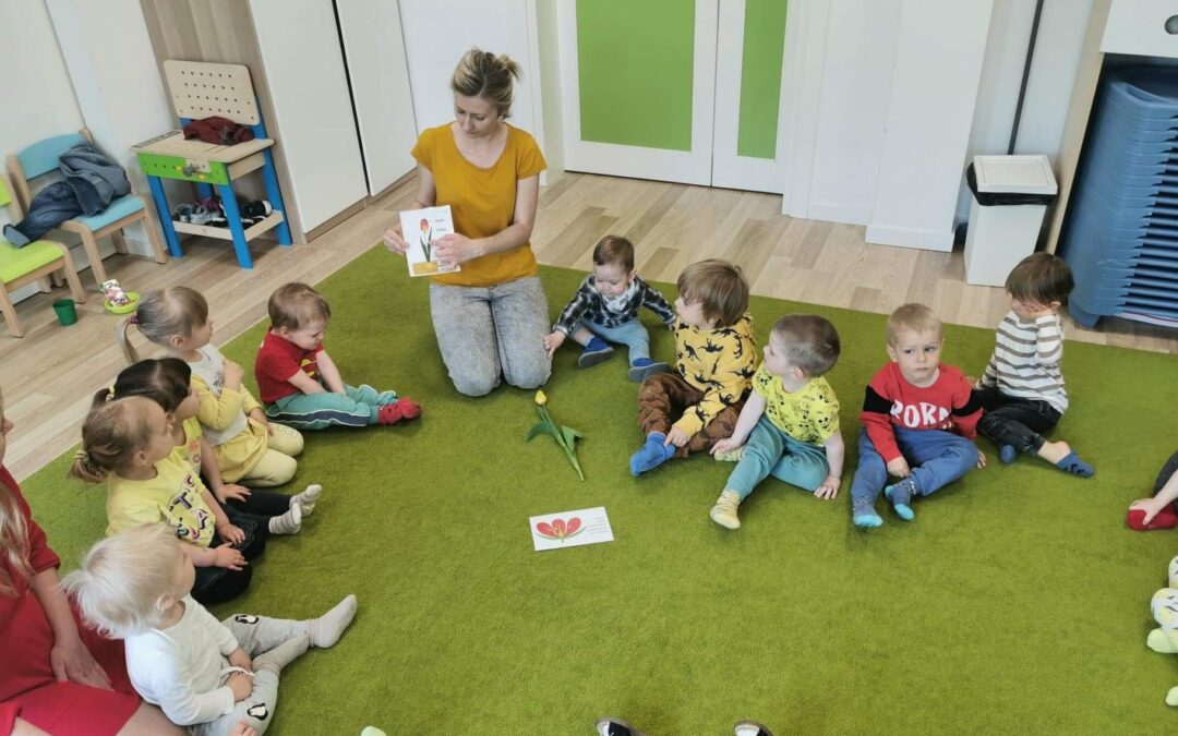 Święto kwiatów Pingwinki i&nbsp;Misie