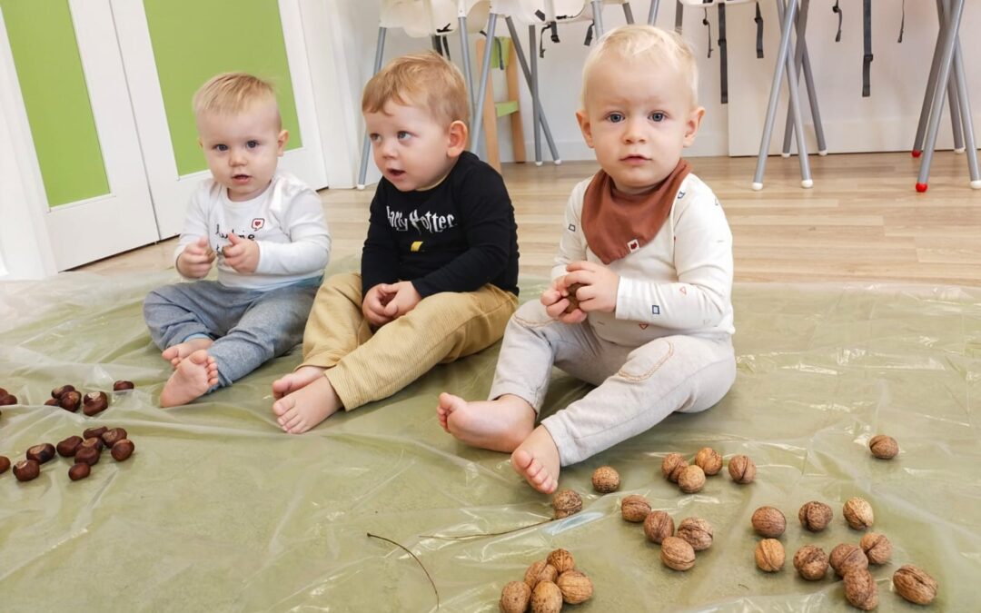 Jesienna ścieżka sensoryczna (Liski)